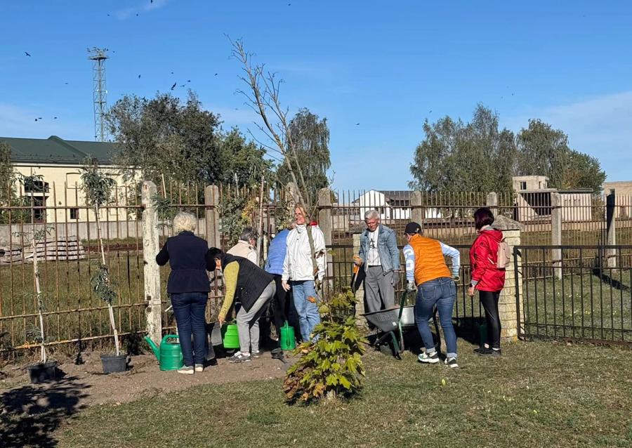 Nevyriausybinės organizacijos puošia miestą augalais